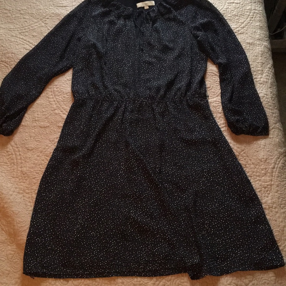 Ann Taylor LOFT Casual Dress-Navy Polka Dot